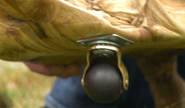 Prosthesis for a Tortoise