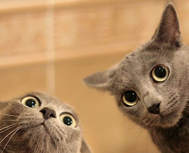See cool images at Izismile.com