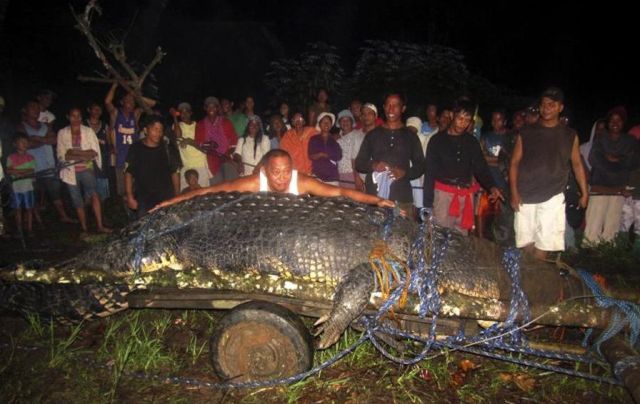 Giant Crocodile Captured in Philippines ‎
