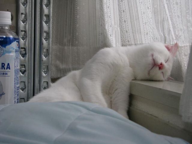 See cool images at Izismile.com