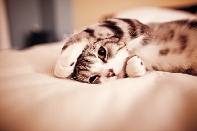 See cool images at Izismile.com