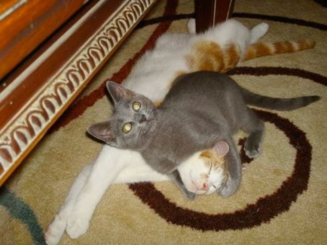 See cool images at Izismile.com