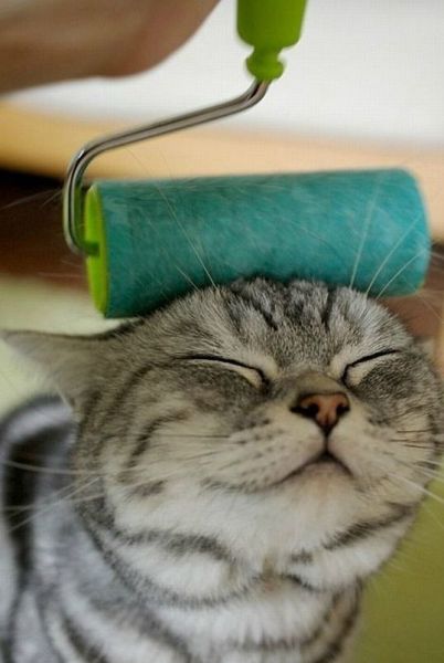 See cool images at Izismile.com
