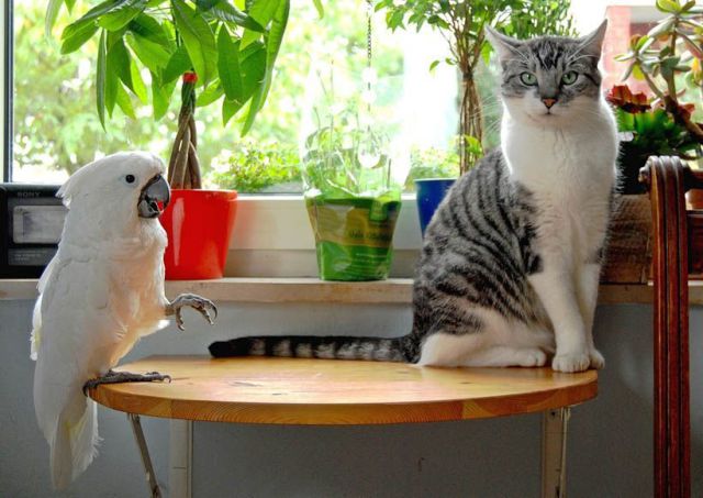 See cool images at Izismile.com