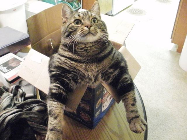 See cool images at Izismile.com