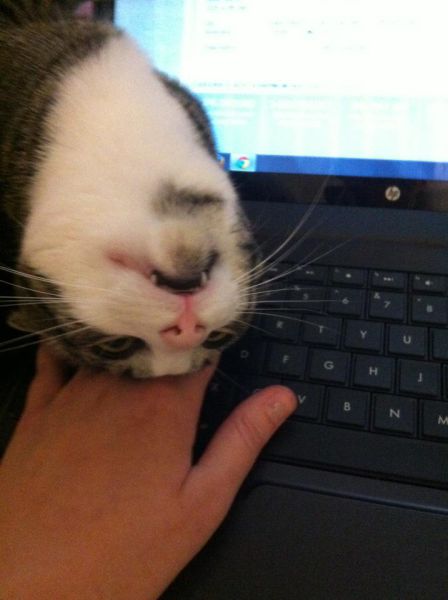 See cool images at Izismile.com