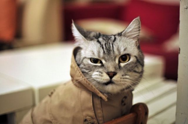 See cool images at Izismile.com