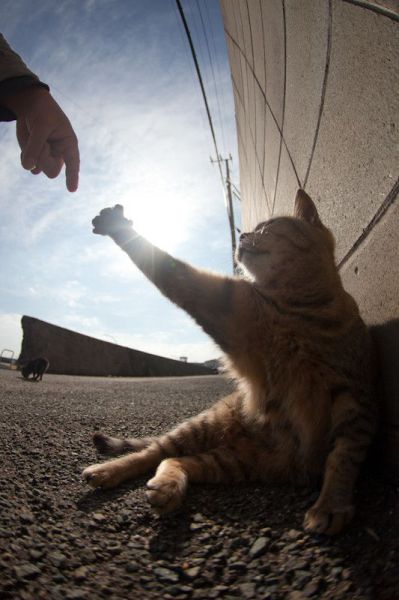 See cool images at Izismile.com