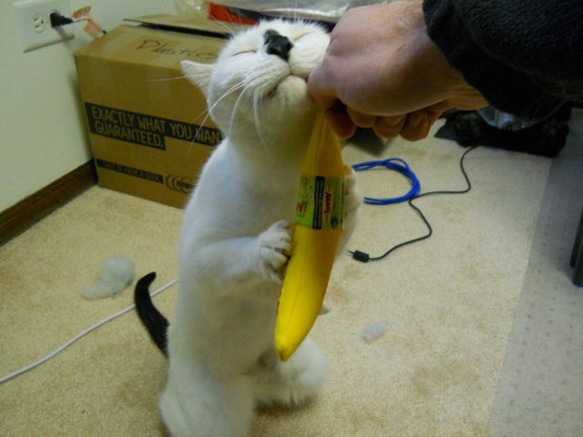 See cool images at Izismile.com