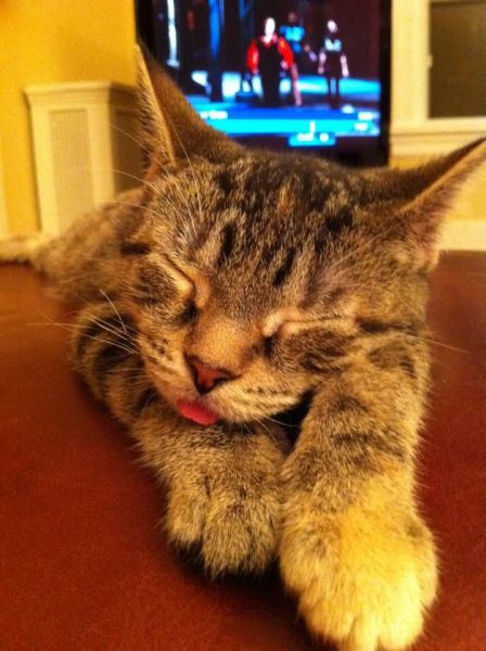 See cool images at Izismile.com