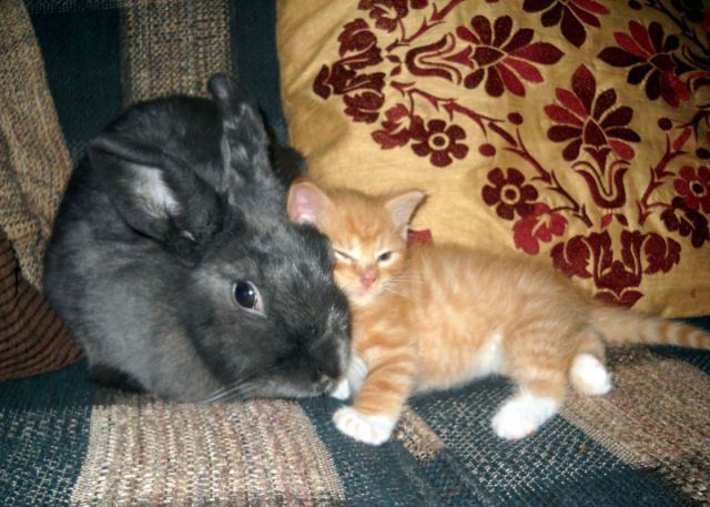 See cool images at Izismile.com