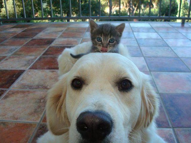 See cool images at Izismile.com