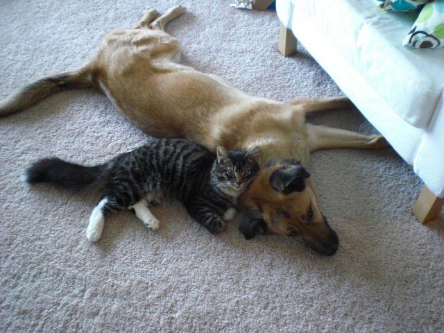 See cool images at Izismile.com