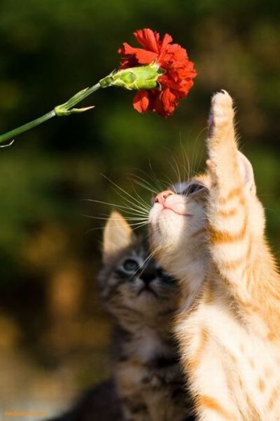 See cool images at Izismile.com