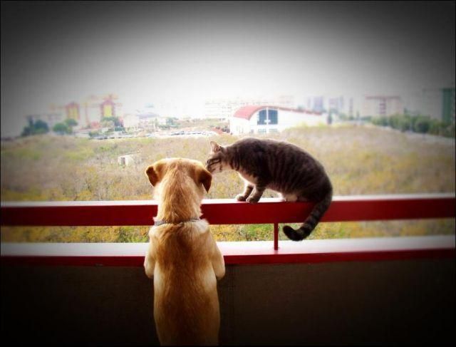 See cool images at Izismile.com