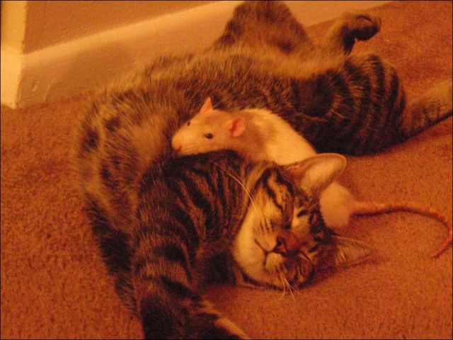 See cool images at Izismile.com