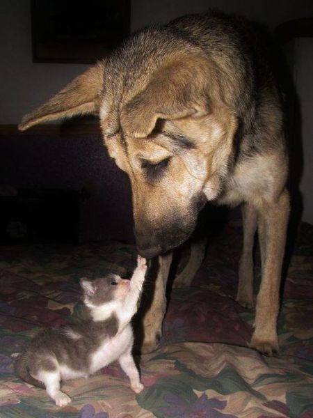 See cool images at Izismile.com