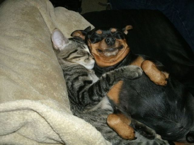 See cool images at Izismile.com