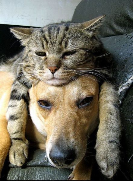 See cool images at Izismile.com