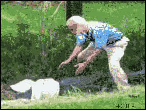 Bad Moments Caught on GIFs