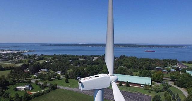 Drone Spots an Odd Sighting on Its Flight Past a Wind Turbine