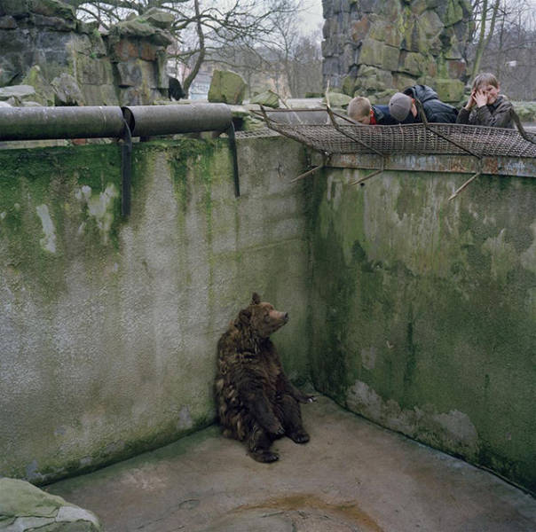 Pics That Are So Poignant and Fascinating