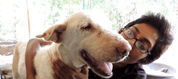 A Very Sickly Dog Gets a New Lease on Life
