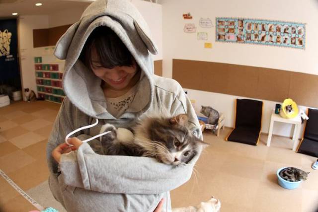 If You Have A Kitty Then This Cat-Hoodie Is For You