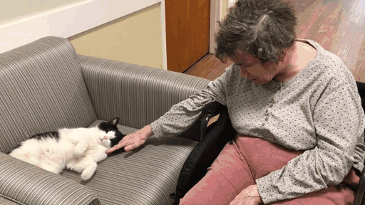 Meet Oreo – The First Cat Nurse