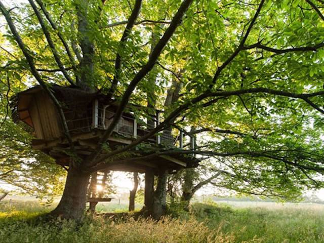 Treehouses Are Everything You Could Wish For To Escape The Noise Of The City