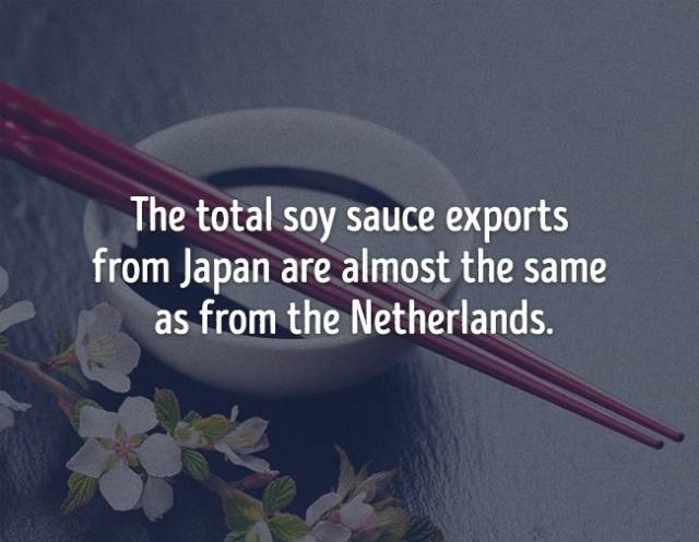 Food Facts Are As Tasty As The Food Itself