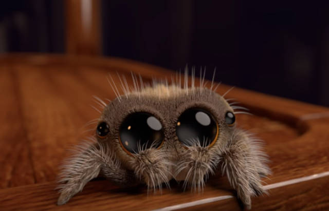 Lucas Is The First Spider You Won’t Be Afraid Of