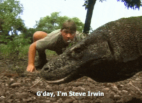 Never Forget To Celebrate Steve Irwin’s Birthday!