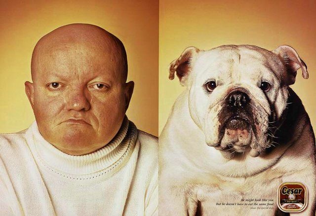 Find the differences  (5 photos)