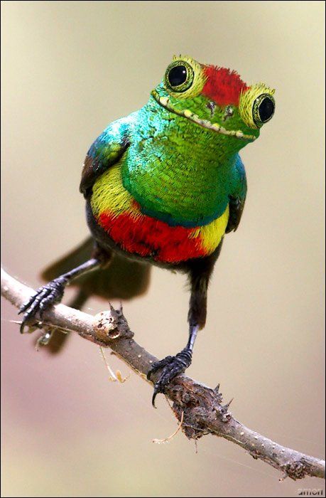 animals_105.jpg