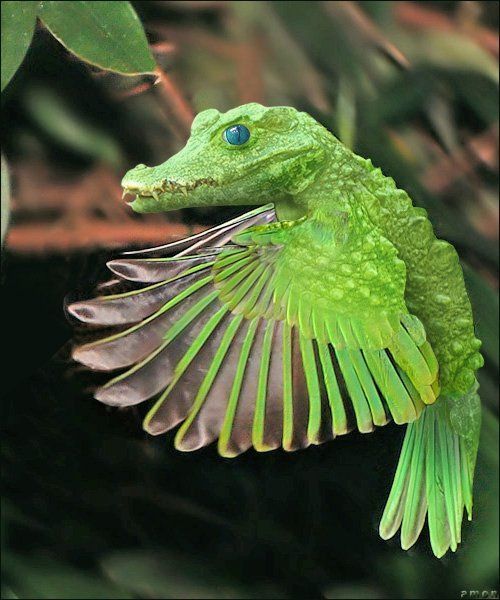 animals_99.jpg
