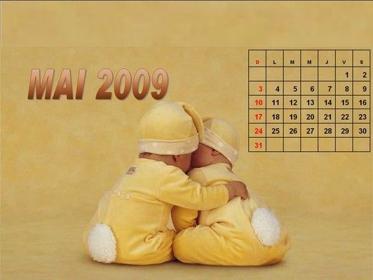 2009 Baby Calendar (15 photos)