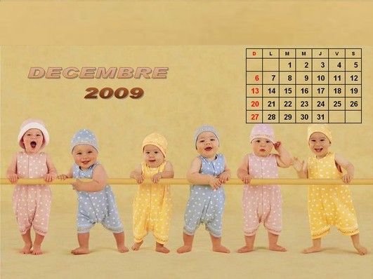 2009 Baby Calendar (15 photos)