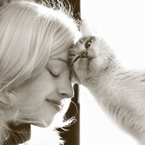 Cats and their owners (18 photos)