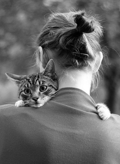 Cats and their owners (18 photos)