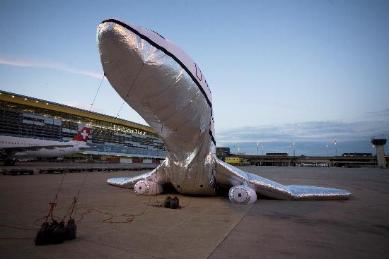 An inflatable plane (42 photos)