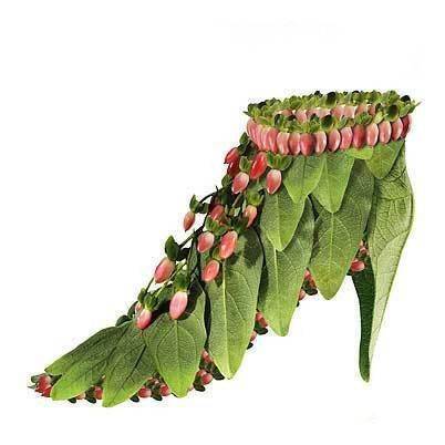 Shoes made from plants (14 photos)