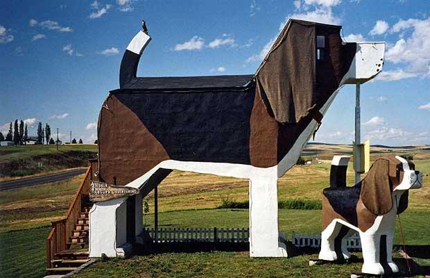 The oddest hotels in the world (15 photos)