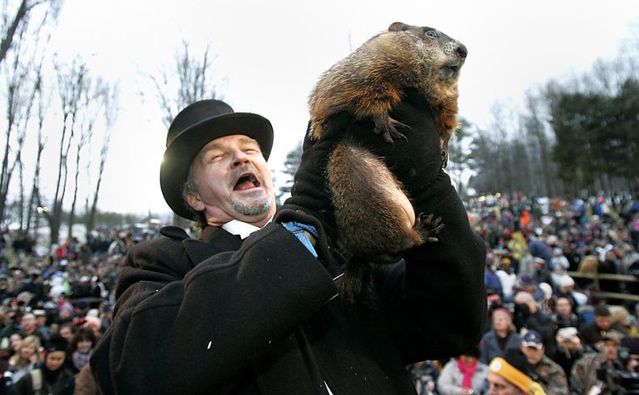 Groundhog day (13 photos) - Izismile.com