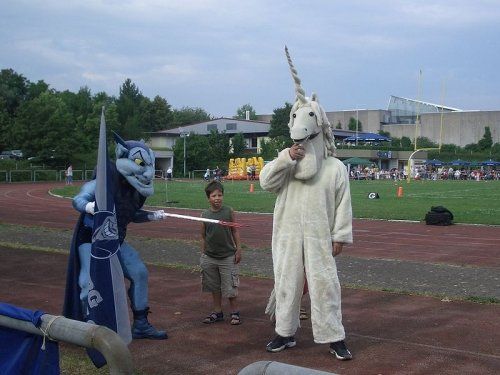 Sports mascots around the world (32 photos)