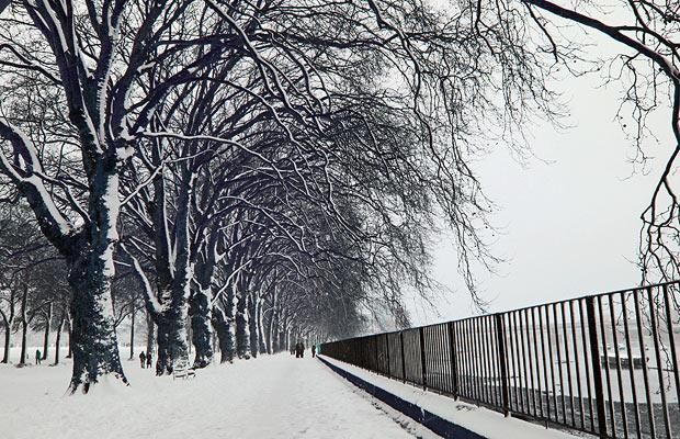 Winter shots. Great!  (40 photos)