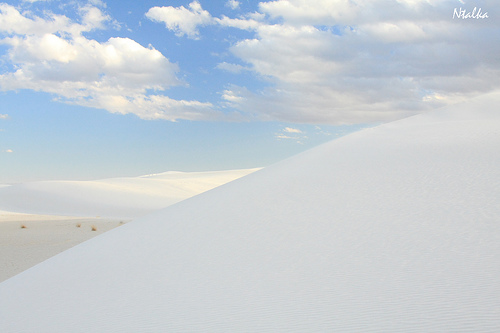 White sands of New Mexico (19 photos)