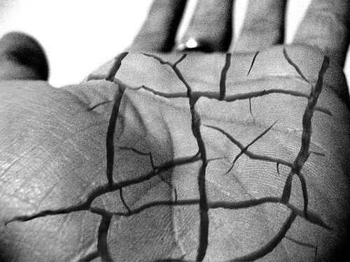 Fingers and hands (27 photos)
