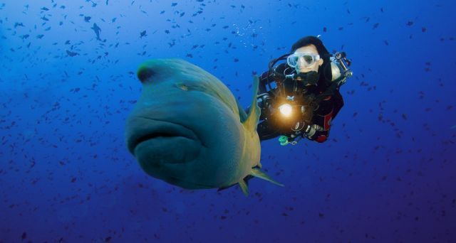 Scuba Diving (21 photos)