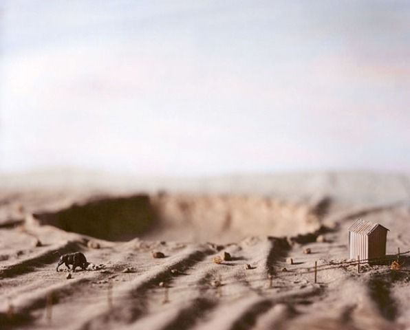 The world of little people (17 photos)